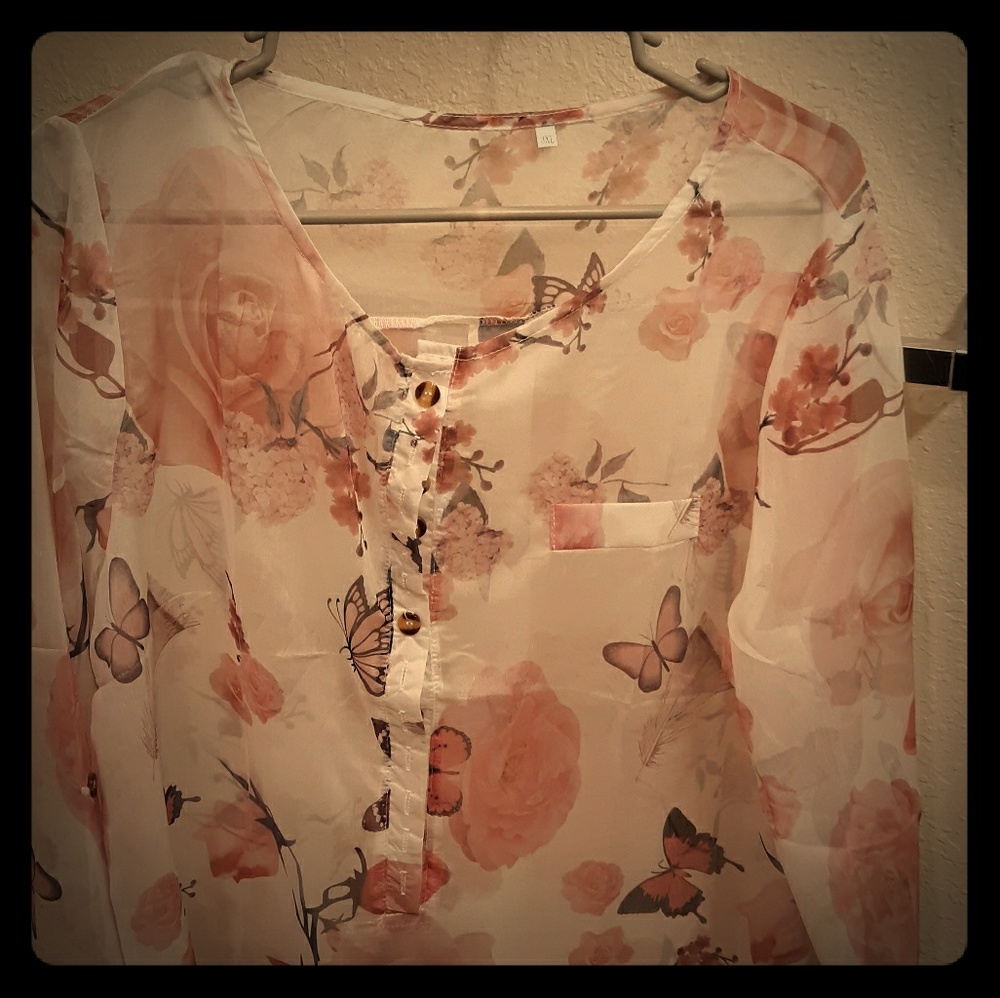 Sheer dress blouse
